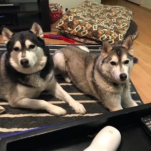 Lacrosse mom for special person